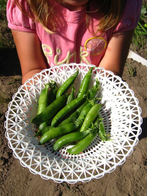 Photo une petite fille proposant des pois frais dans l'assiette