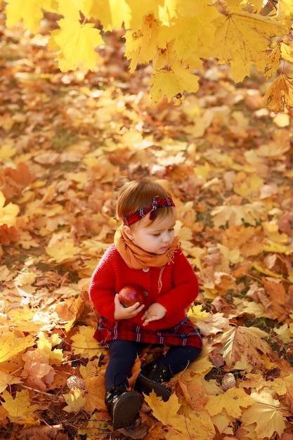 Petite fille en pull tricoté est assise sous un érable