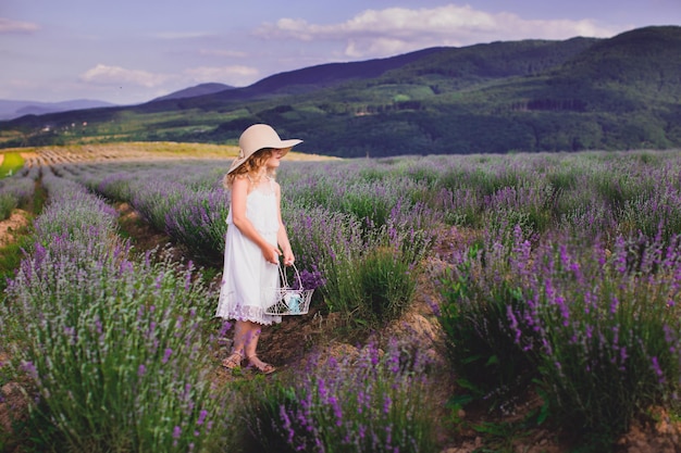 La petite fille recueille des fleurs sur un champ de lavande