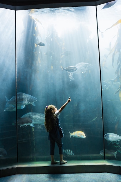 Petite fille en regardant un aquarium