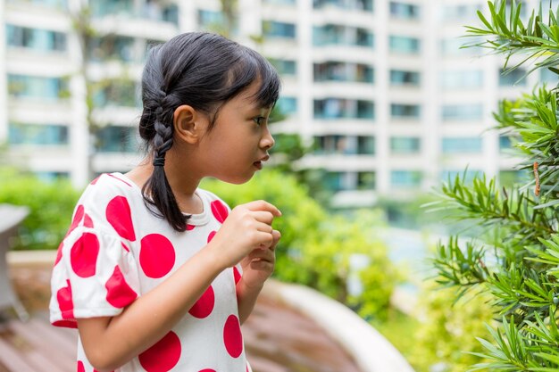 Petite fille regarde la plante verte