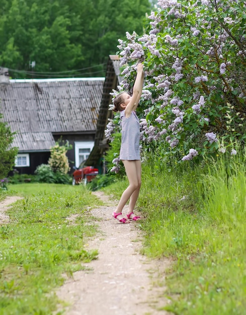 Petite fille en robe rayée touchant la plante Syringa à l'extérieur sur le fond de la construction de la maison à la campagne.