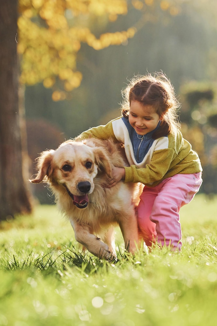 Photo une petite fille se promène avec un chien golden retriever dans le parc pendant la journée
