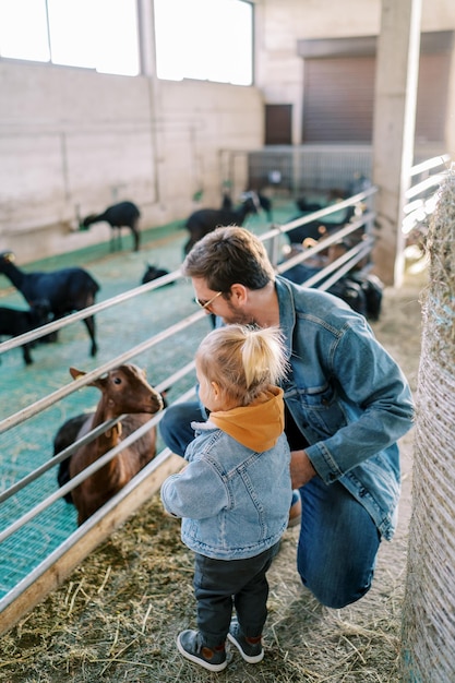 Photo la petite fille se tient à côté de son père, accroupi devant l'enclos et regarde la chèvre.