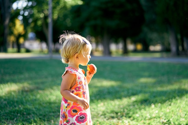 La petite fille se tient avec une pêche sur une vue de côté de pelouse verte