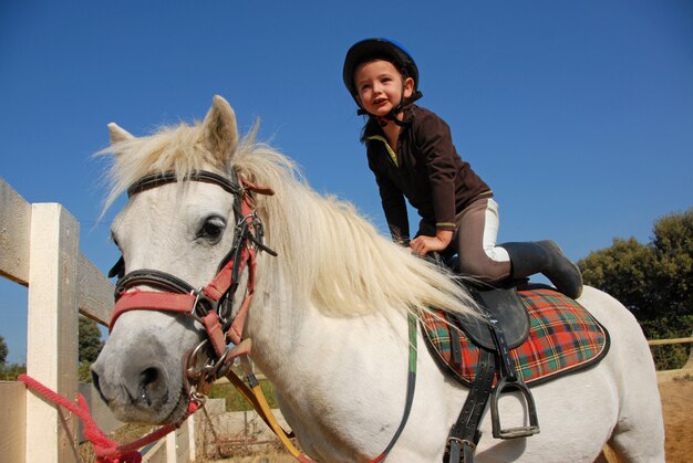 Petite fille et shetland