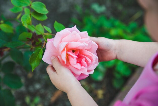 Petite fille tenant une fleur rose rose dans ses mains se bouchent