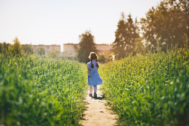 petite fille traverse le champ en été