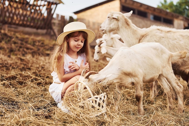 Petite fille en vêtements blancs est à la ferme en été à l'extérieur avec des chèvres