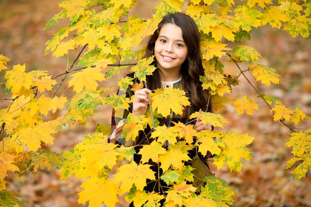 Petite fille w profiter des feuilles d'automne, beauté de la nature.