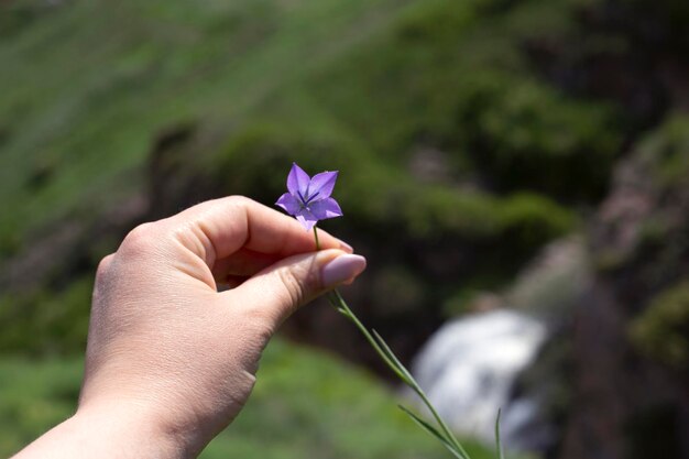 petite fleur dans la main d'une femme fond de la nature