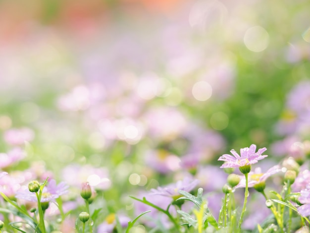 Petite fleur rose en gros plan avec goutte de pluie en vert