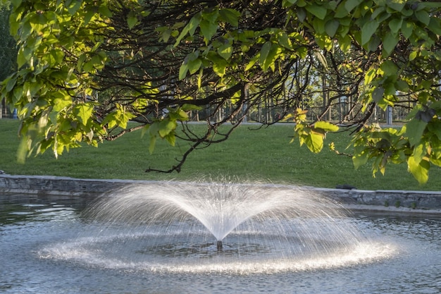 Petite fontaine dans le parc de la ville