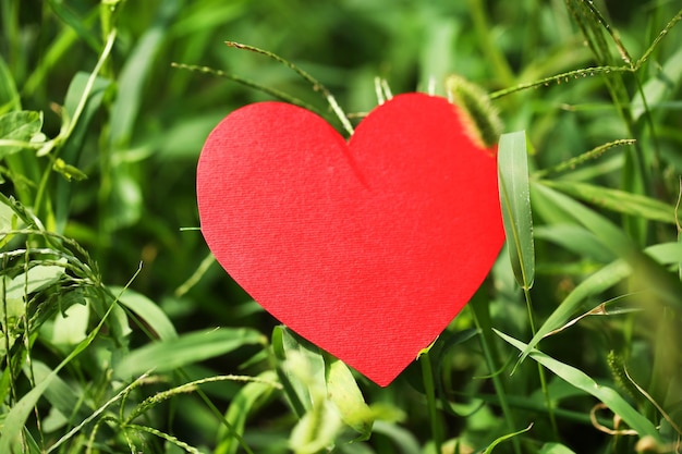 Petite forme de coeur sur l'herbe en gros plan