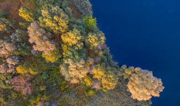 Une petite île au milieu du lac, des feuilles d'automne jaunes sur les arbres. Vue drone.