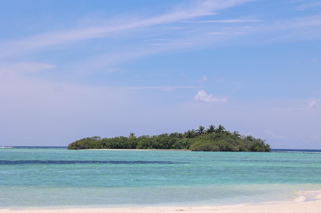 Petite île dans l'eau avec de nombreux arbres et cocotiers