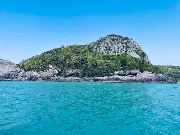 une petite île avec une île verte dans l'eau