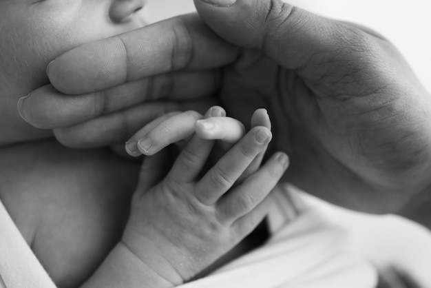 Petite main d'un nouveau-né avec de minuscules doigts tête nez et oreille d'un nouveau-né Paume main des parents père et mère d'un nouveau-né Macrophotographie en studio Noir et blanc