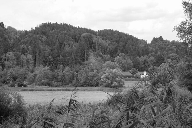 Photo une petite maison blanche est au milieu d'une forêt.