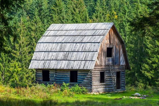 Petite maison en bois dans la forêt de montagne