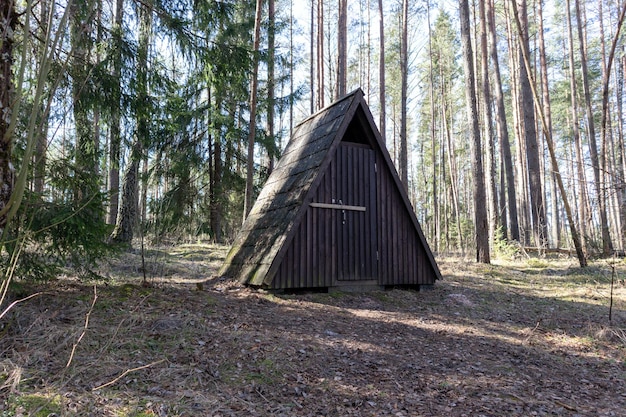 Une petite maison en bois triangulaire au milieu de la forêt