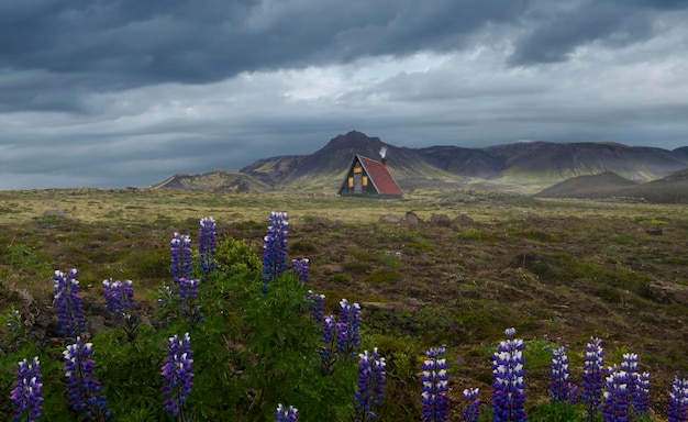 Petite maison dans un pré en Islande