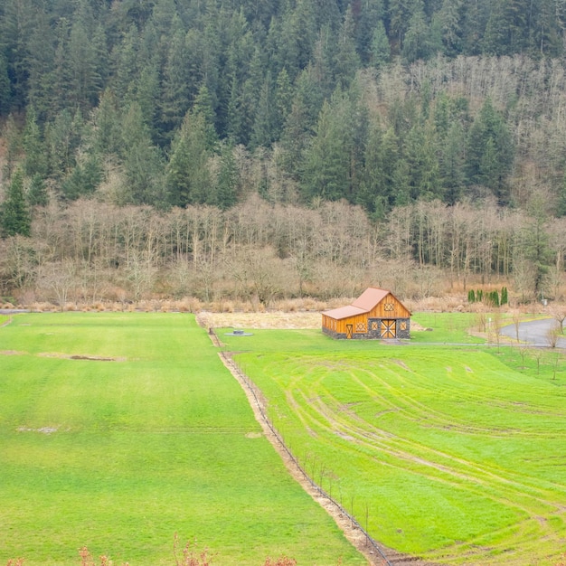 Photo une petite maison est assise dans un champ avec une petite maison en arrière-plan