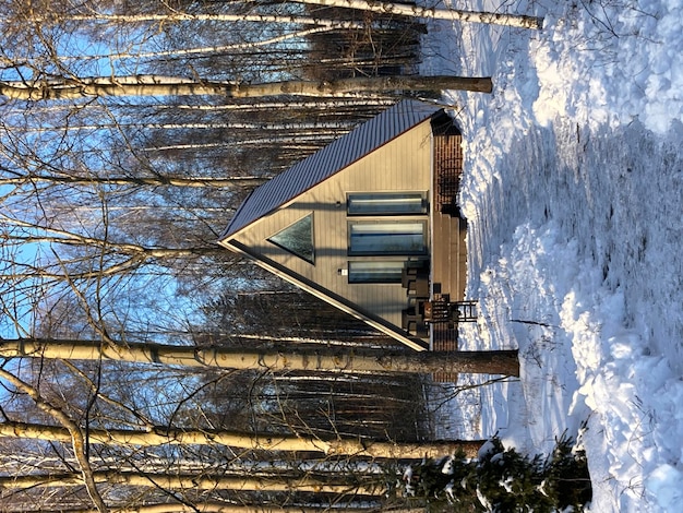 Une petite maison en forme de forêt