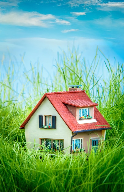 Petite maison sur l'herbe verte