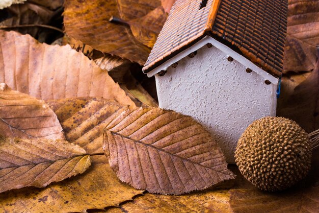 Petite maison modèle place sur un fond d'automne avec des feuilles