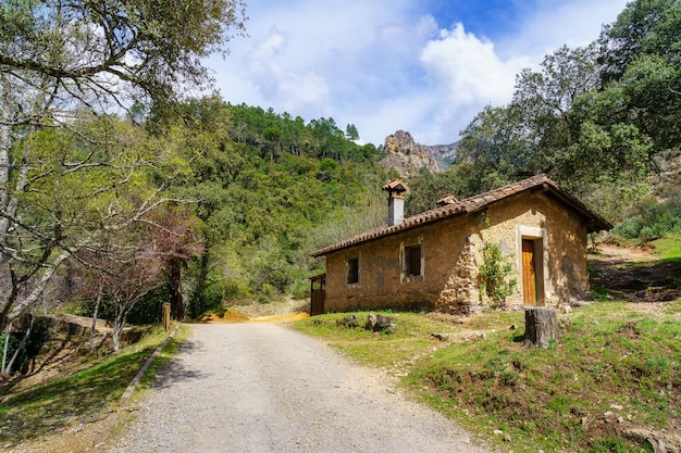 Petite maison en pierre sur la montagne à l'intérieur de la forêt avec une végétation luxuriante