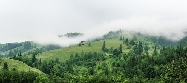 Petite maison sur un versant de montagne verdoyant