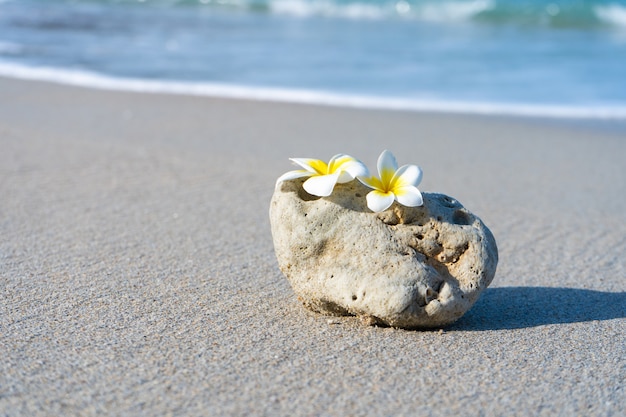 Une petite pierre d'une forme lisse intéressante est lavée par les vagues sur la plage. Calme et détente au bord de la mer