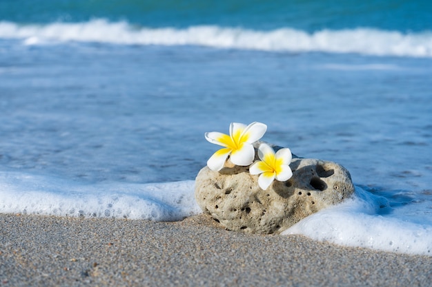 Une petite pierre d'une forme lisse intéressante est lavée par les vagues sur la plage. Calme et détente au bord de la mer