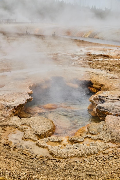 Petite piscine de Yellowstone avec de la vapeur de soufre