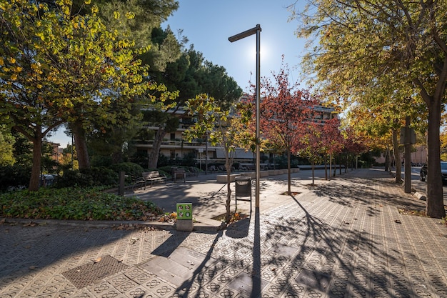 Petite place confortable avec des bancs et des arbres colorés en automne par une journée ensoleillée