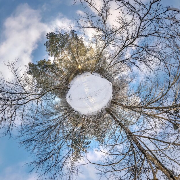 Petite planète d'hiver dans la forêt couverte de neige dans le ciel bleu transformation du panorama sphérique à 360 degrés Vue aérienne abstraite sphérique dans la forêt Courbure de l'espace