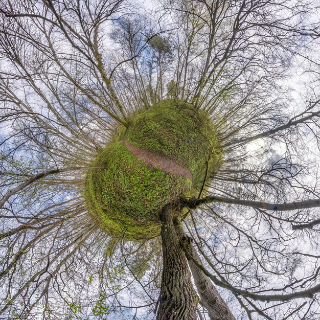 Petite planète verte transformation du panorama sphérique 360 degrés Vue aérienne abstraite sphérique sur la courbure de la forêt de l'espace