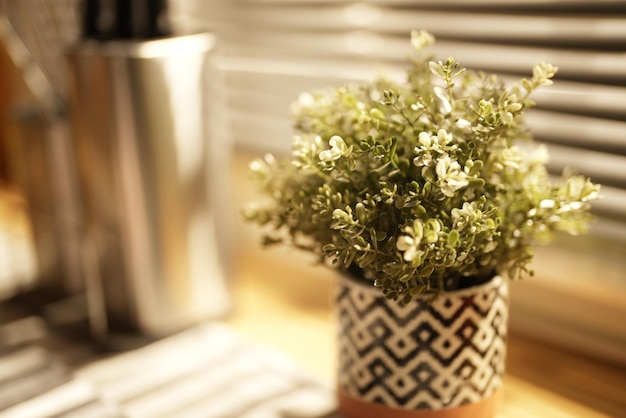 Une petite plante dans un vase avec un motif noir et blanc dessus.