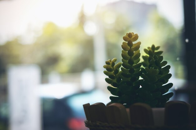 Petite plante en plastique