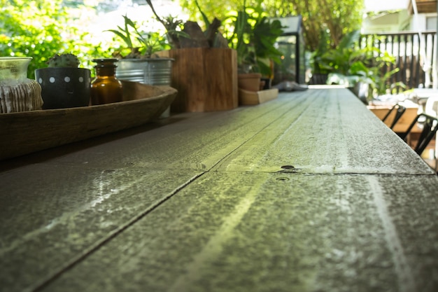 Petite plante verte décorée sur une table en métal