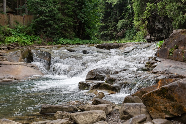 Une petite rivière dans la forêt de montagne avec une cascade d'eau basse