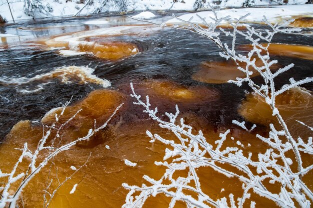 La petite rivière gelée sauvage dans le bois d'hiver la nature sauvage au coucher du soleil la rivière de glace de couleur rouge ...