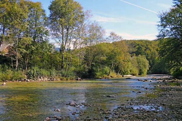 Petite rivière de montagne en Slovénie dans les montagnes