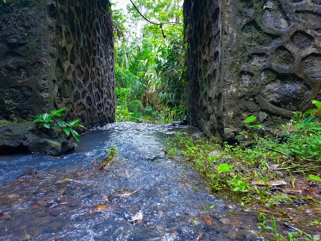 petite rivière sous le pont