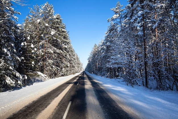 La petite route asphaltée vers une saison hivernale. Biélorussie