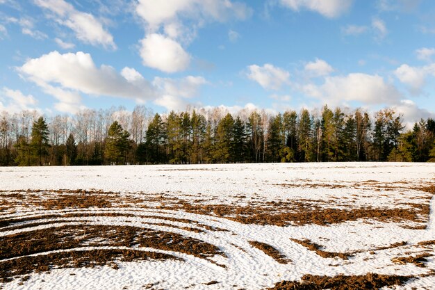 Une petite route de campagne passe dans un champ en hiver.