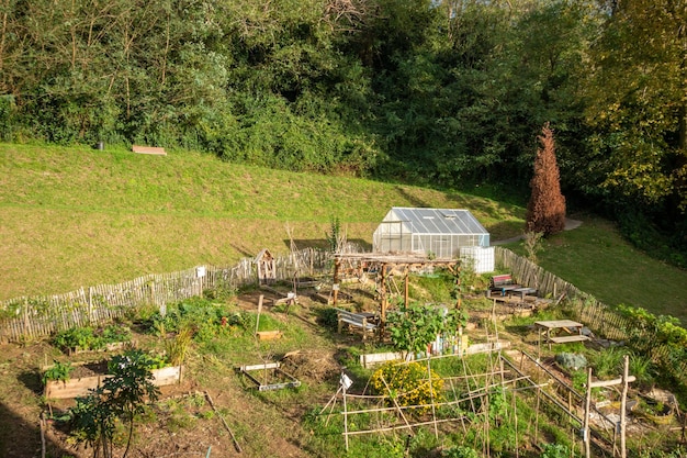 Petite serre chaude dans un potager vert