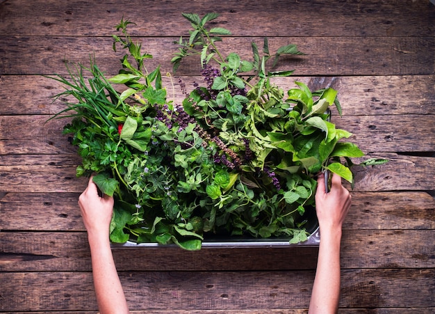 Petite table rustique en bois d&#39;herbes aromatiques