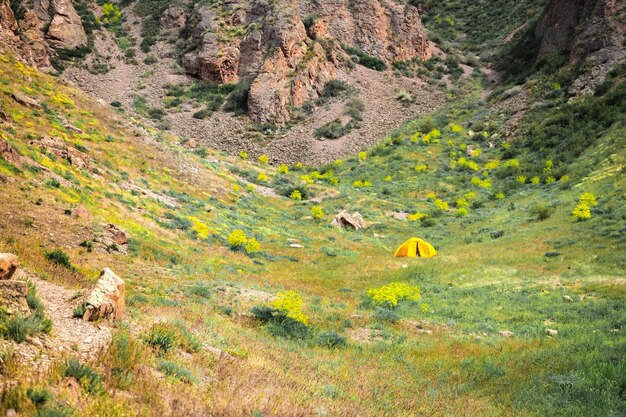 Une petite tente touristique jaune se dresse dans une gorge en harmonie avec la nature environnante Grand espace de copie